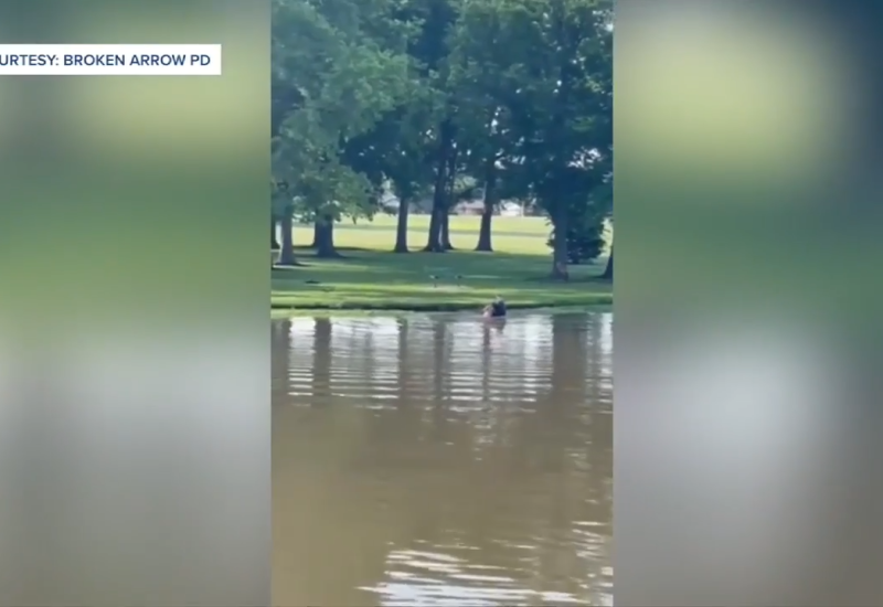 Officer Hailed as Hero After Swift Rescue of Boy from Pond