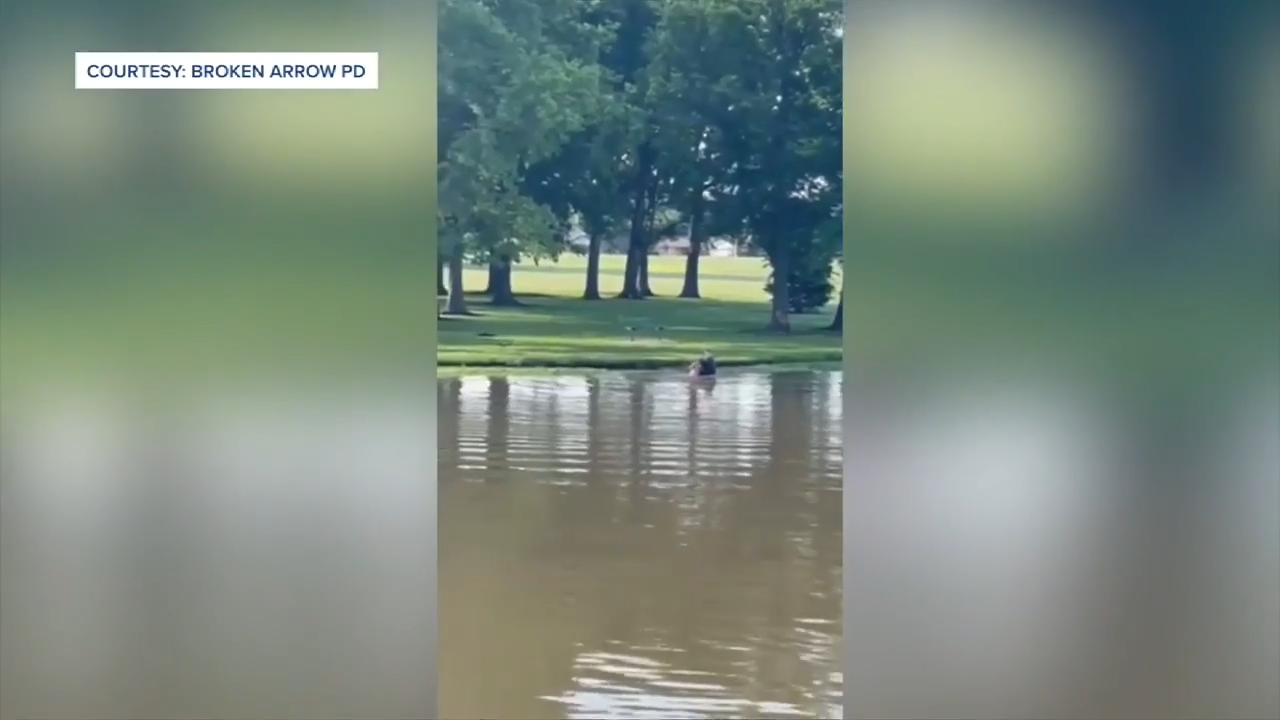Officer Hailed as Hero After Swift Rescue of Boy from Pond