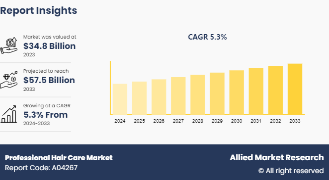 Professional Hair Care Market Size To Exceed USD 57.5 billion by 2033 | CAGR of 5.3%
