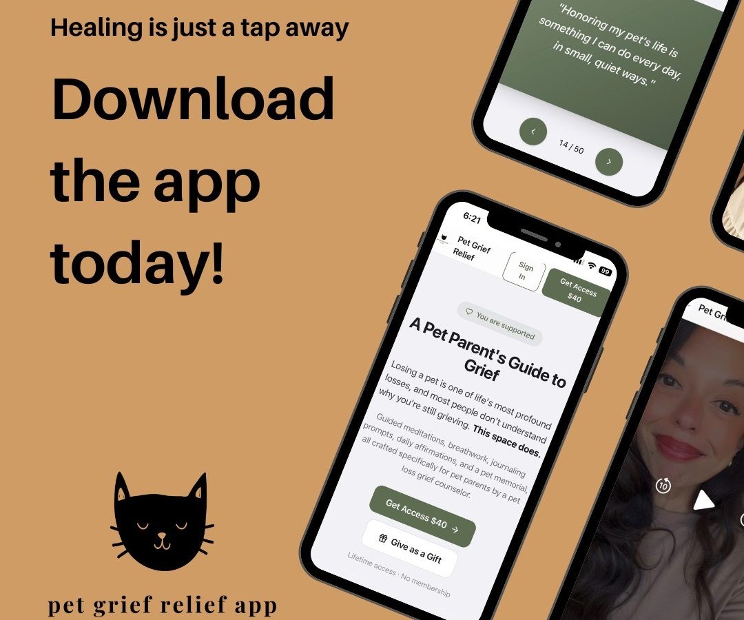 Pet Grief Relief App Offers Holistic Pet Loss Support