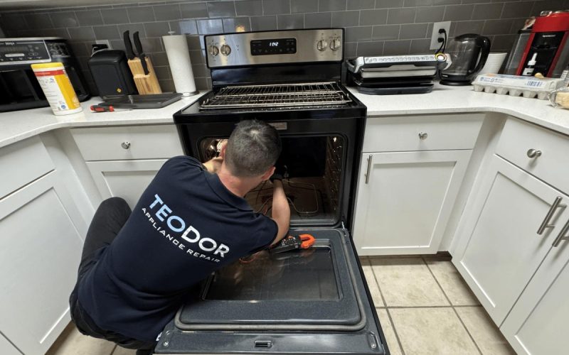 Teodor Appliance Repair Issues St. Petersburg Consumer Guide