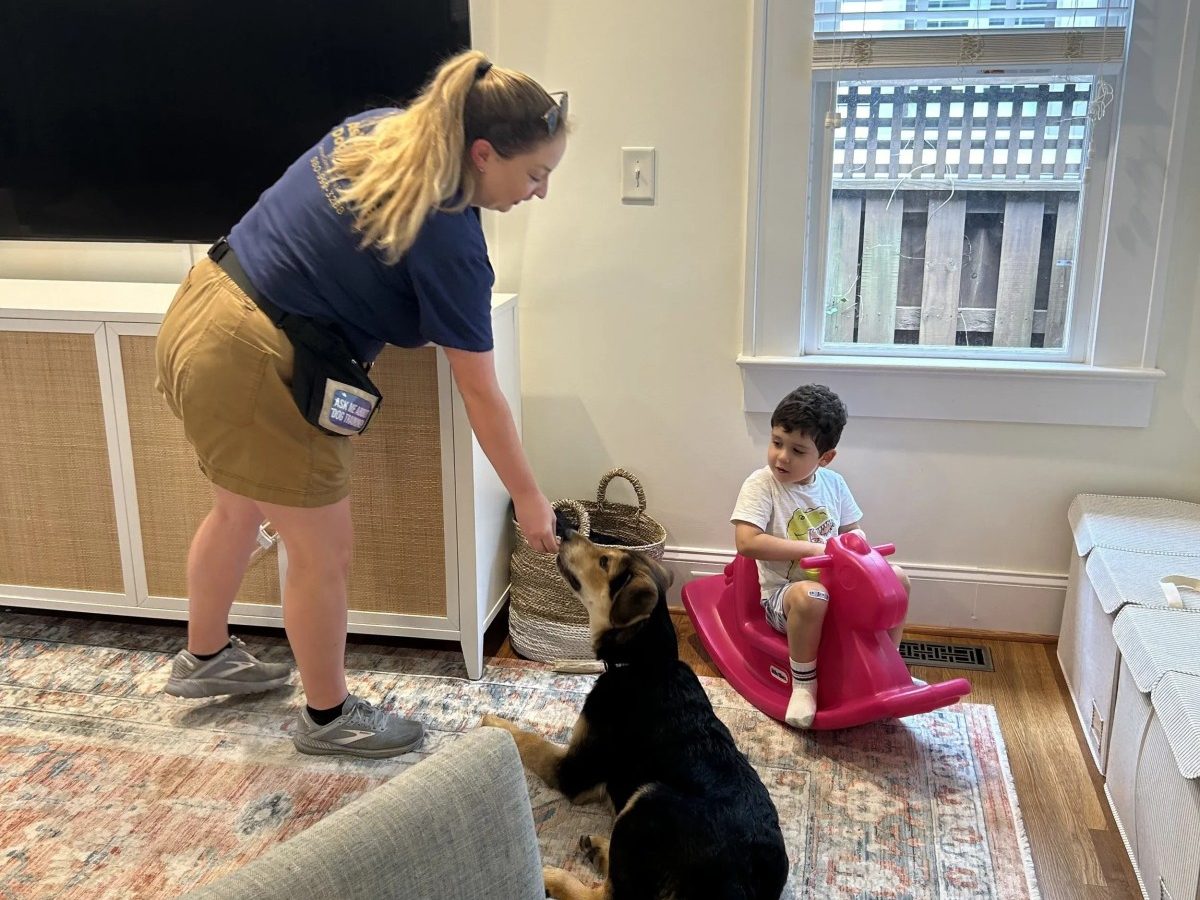 Canine Compass Adds Group Class Formats for All Life Stages