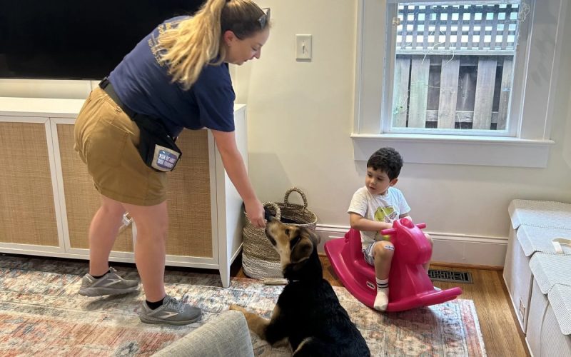 Canine Compass Adds Group Class Formats for All Life Stages