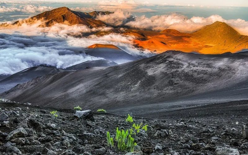 Hawaii Travel Guide Celebrates 20 Years Online and 60 in Print
