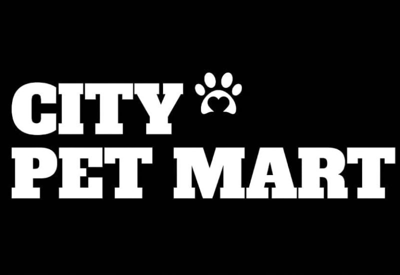 Home Grooming Revolution: How U.S. Pet Parents Are Cutting Salon Bills With Smart At-Home Tools in 2026
